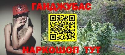 прущие крисы Бийск