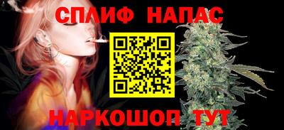 мяу мяу мука Гатчина