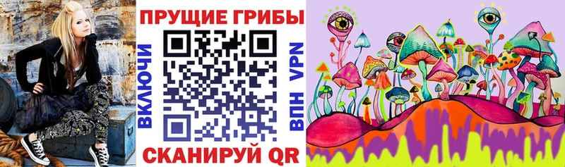 Псилоцибиновые грибы ЛСД  blacksprut ТОР  Сарапул 