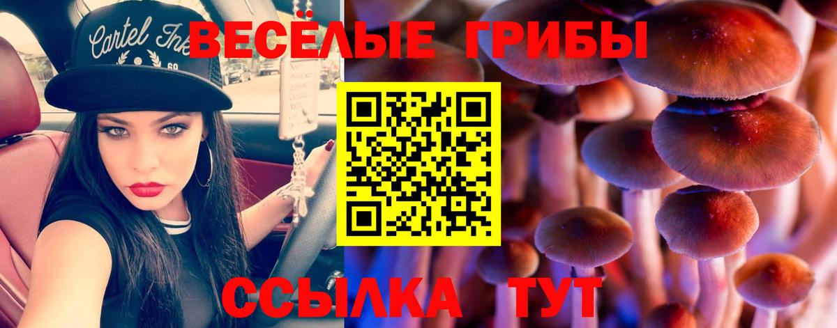 Галлюциногенные грибы ЛСД Сарапул